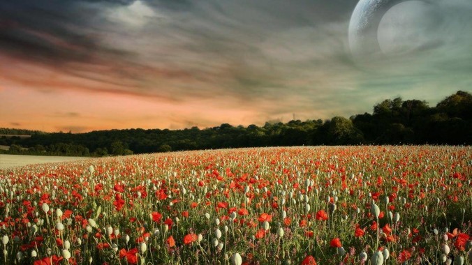 发生了什么导致你从此再不吃某样食物?